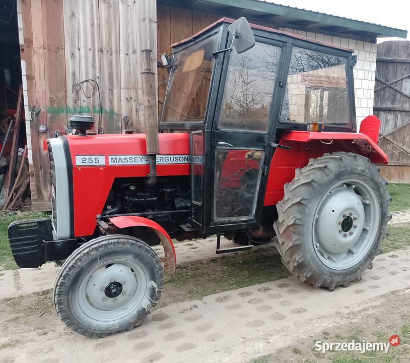 Massey Ferguson MF255 lubelskie Batorz