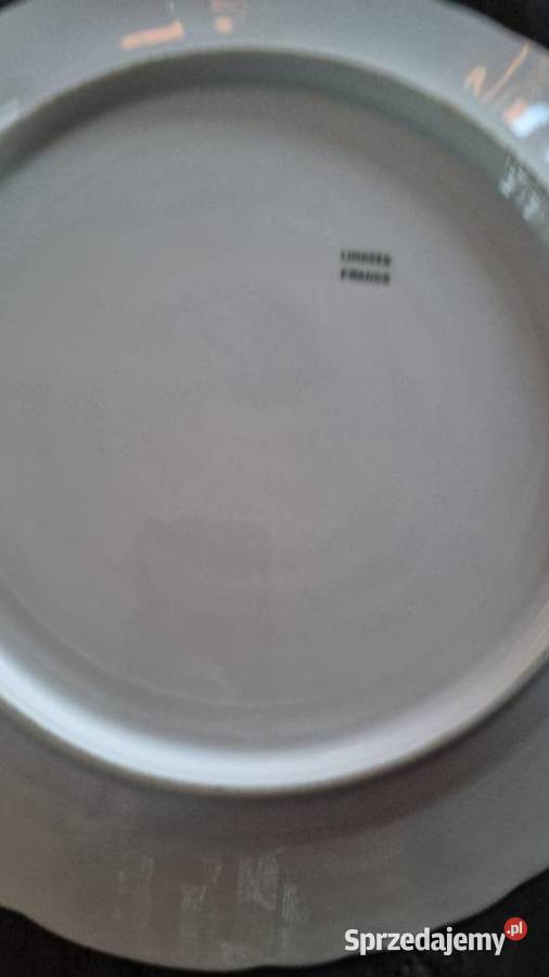 Talerz Motyw Owoce Porcelana Francuska Limoges