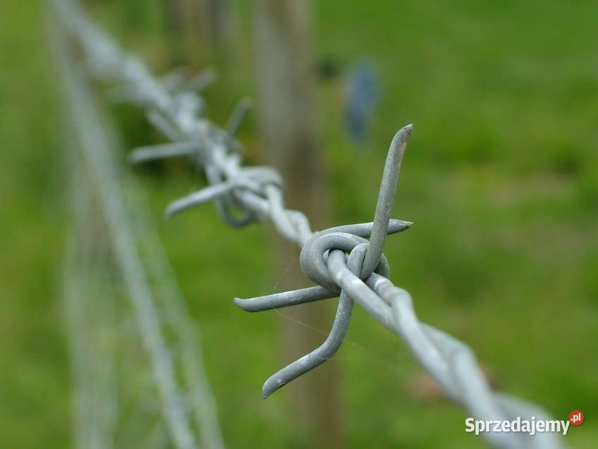 Drut kolczasty 25 mm ocynkowany rolka 4590180 mb zachodniopomorskie Szczecin