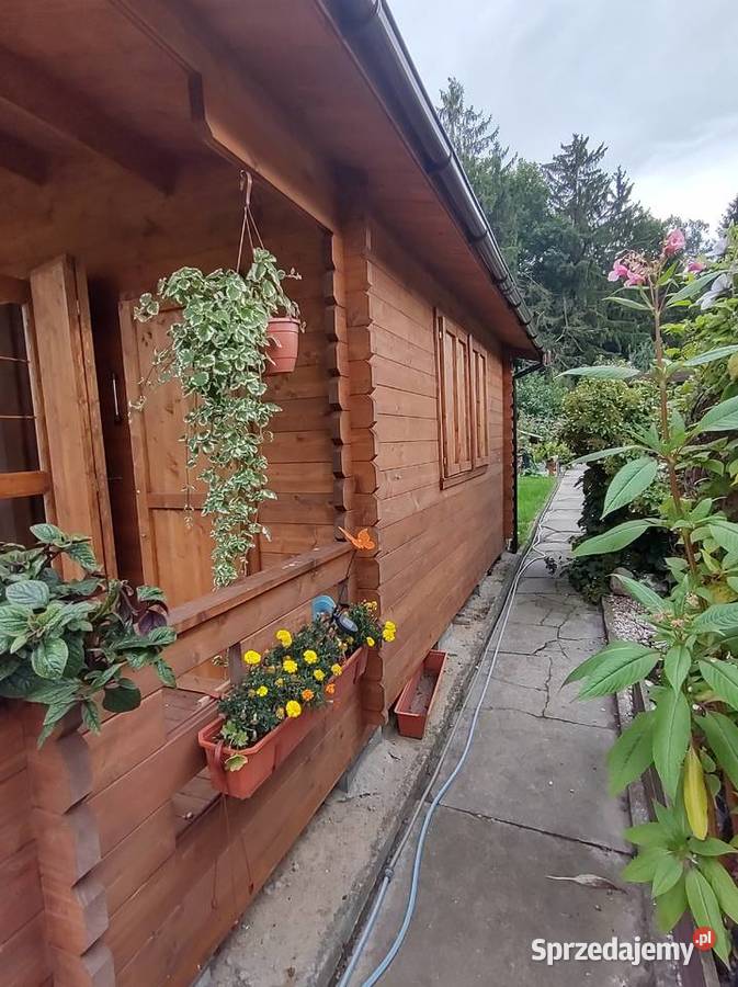 sprzedam działkę ogrodniczą Rod zamkuw Malborku Malbork