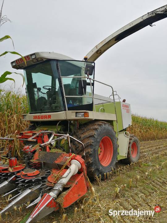 sieczkarnia claas jaguar 860 kemper 345 nowe Garwolin