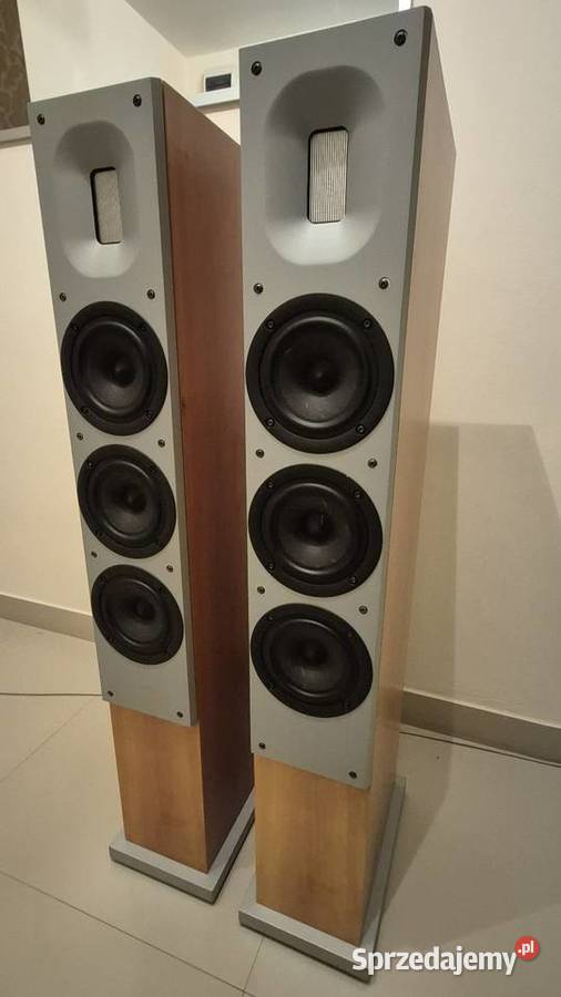 Kolumny podłogowe Raidho Emilies2 Lublin