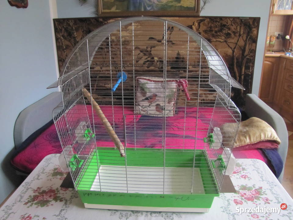 Duża klatka ptaków kujawsko-pomorskie