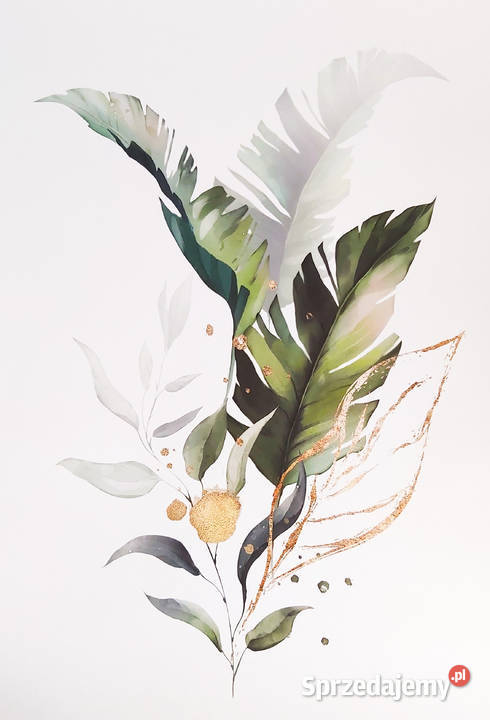 Plakat rośliny liście palmy botaniczny 50x70 sprzedam