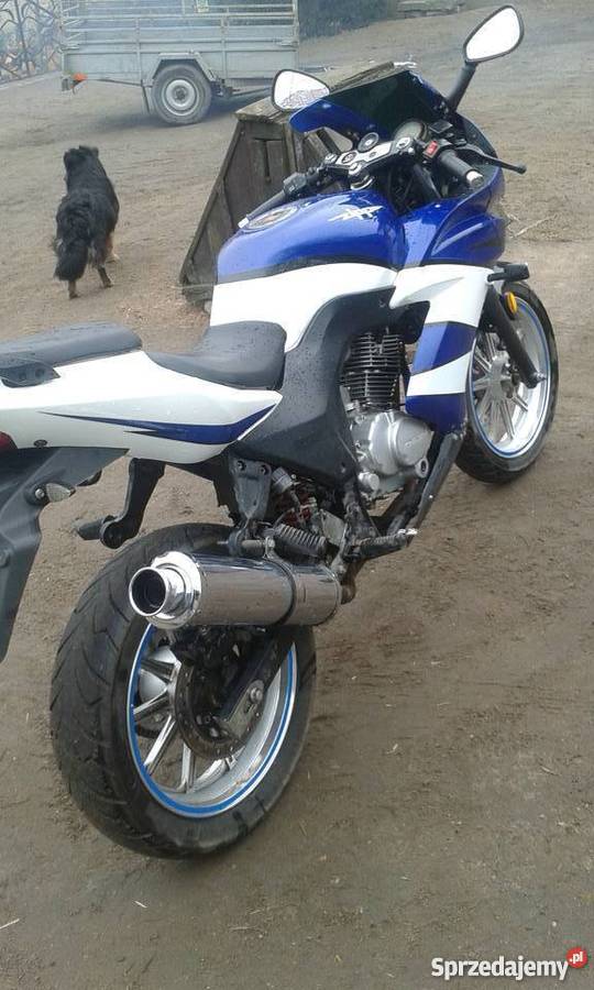 zipp pro 25050 Zipp Zosin