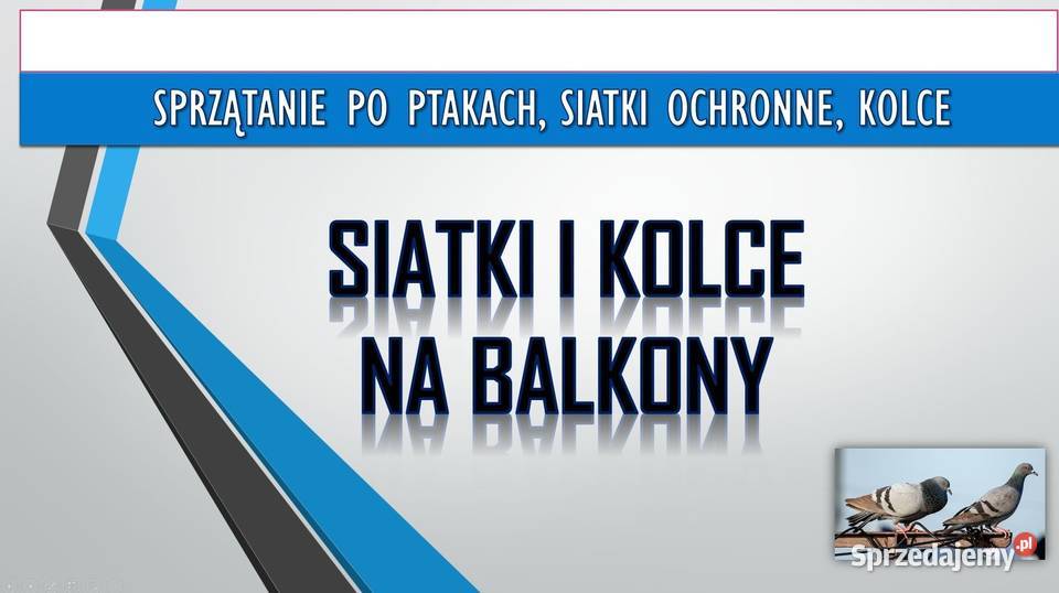 Usługi montażu kolców na parapecie domu budynku dolnośląskie Wrocław