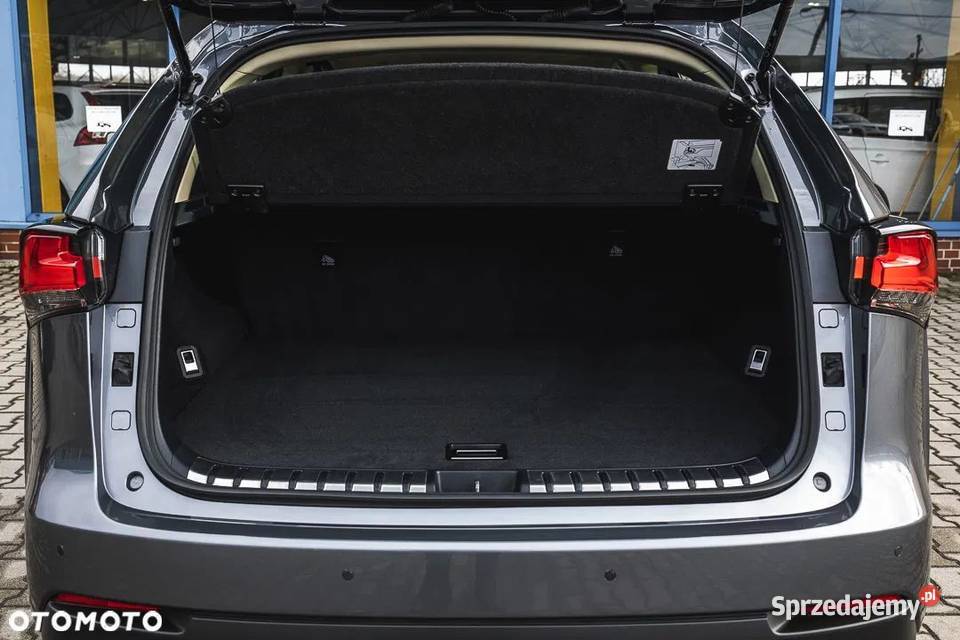 Lexus NX 300 238 AWD HAK Górki Wielkie