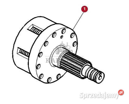 Massey Ferguson 6497 6499 Sprzęgło Mechanizmu wielkopolskie Jastrzębniki