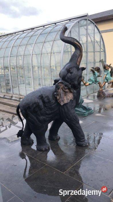 Król Lew Lew z brązu 145 figura z brązu zachodniopomorskie Szczecin