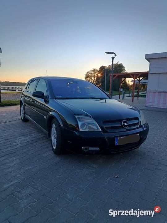 Opel Signum 22 dti lubelskie Włodawa