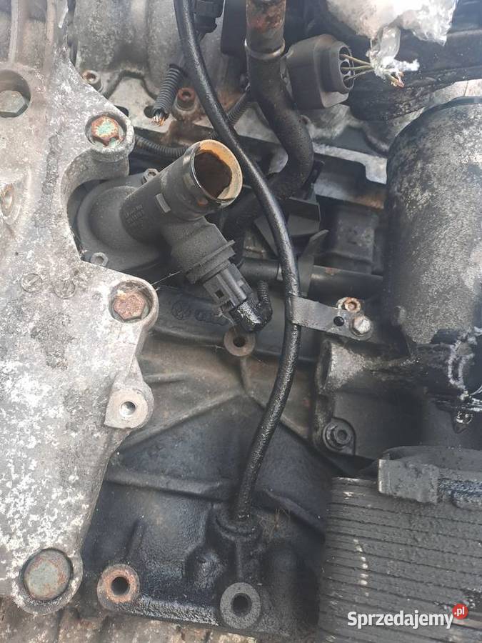 Volkswagen Passat B6 20 TDi 140 silnik kod BKP
