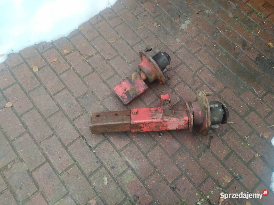 Piasta czop lubelskie Pniówek