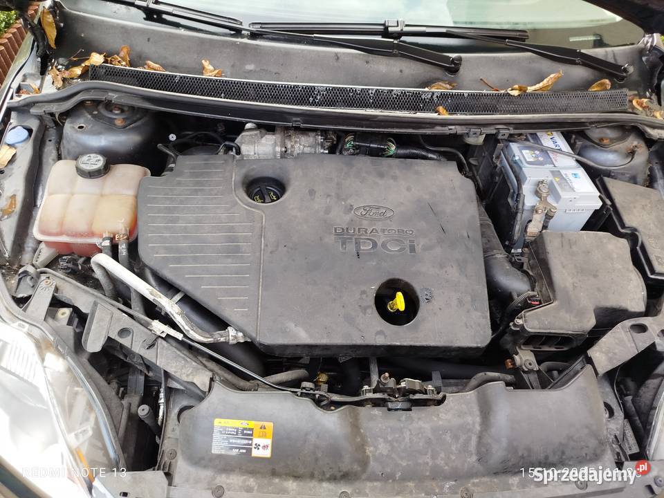 Ford Focus Focus zachodniopomorskie Chojna sprzedam