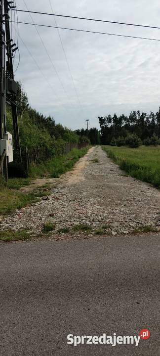Działka budowlana 2 000 m2 Henryków gm Chynów 2000m2