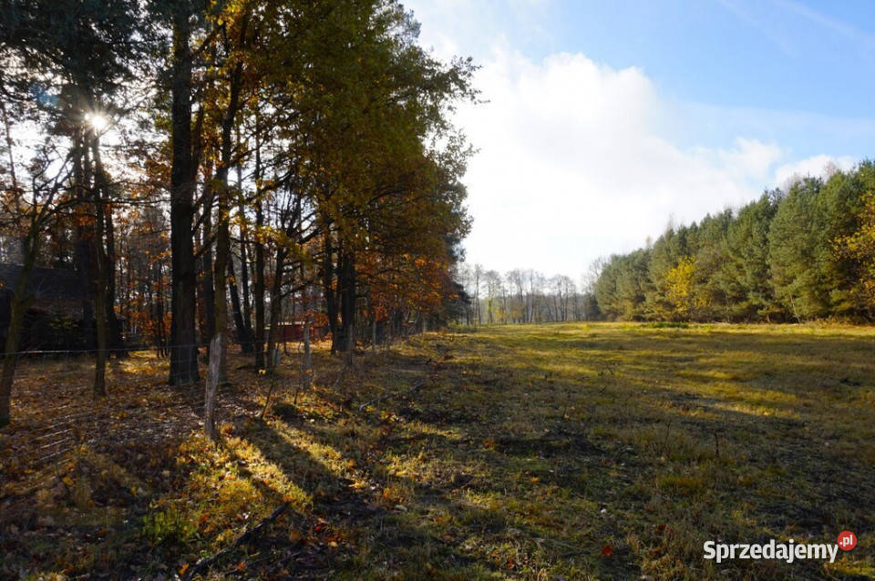 Działka z linią brzegową jeziora 160m warmińsko-mazurskie Ruś Mała