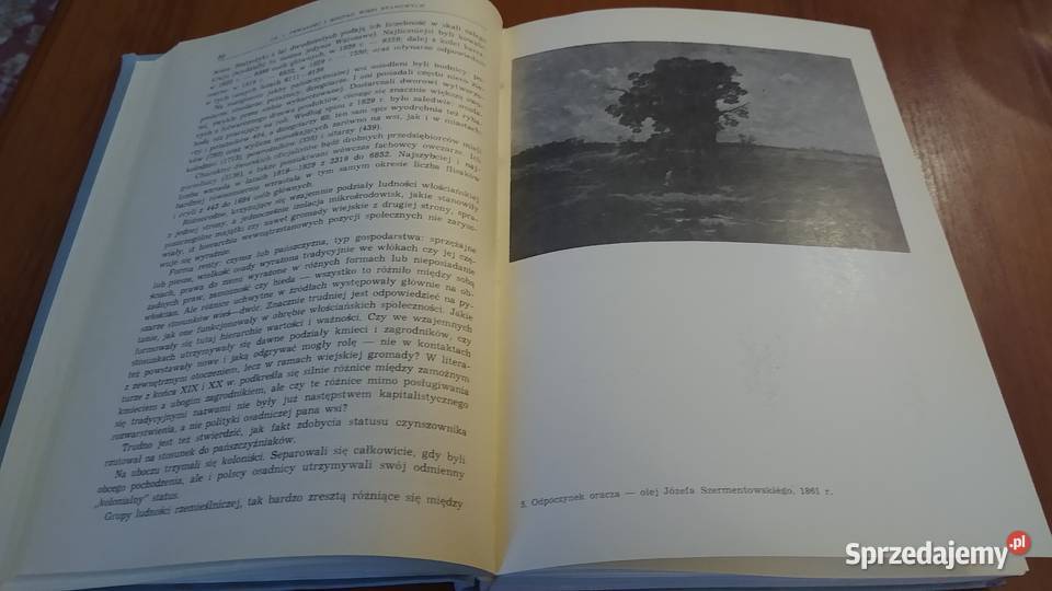 Przemiany społeczne w królestwie Polskim sprzedam