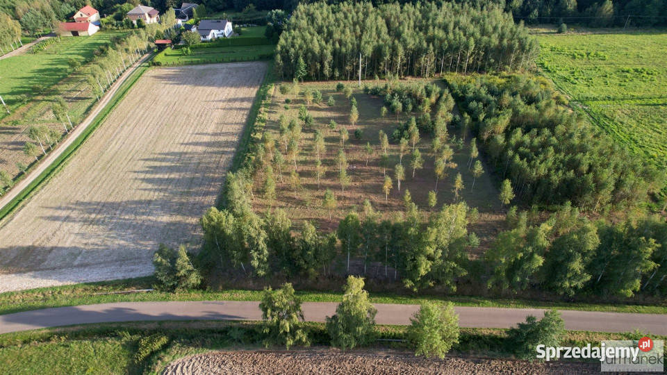 Działka 4775m2 Błażkowa kanalizacja
