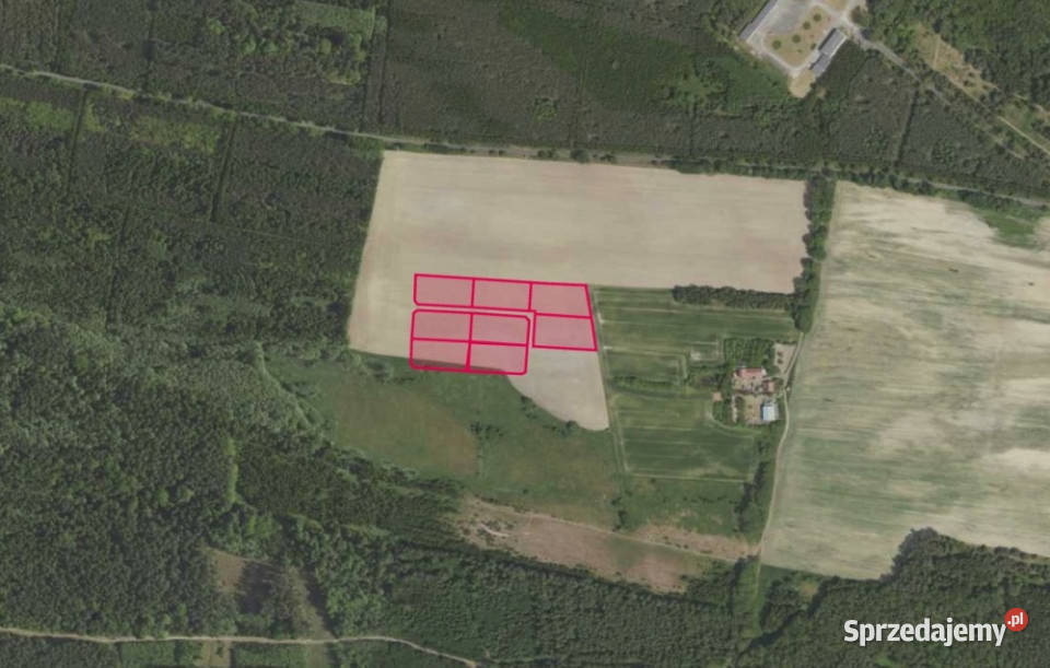 Działki 3159 w miejscowości Grabowno Wielkie 6zł/m2