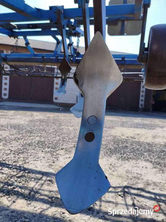 Bezorkowiec czterobelkowiec rabe sprzedam