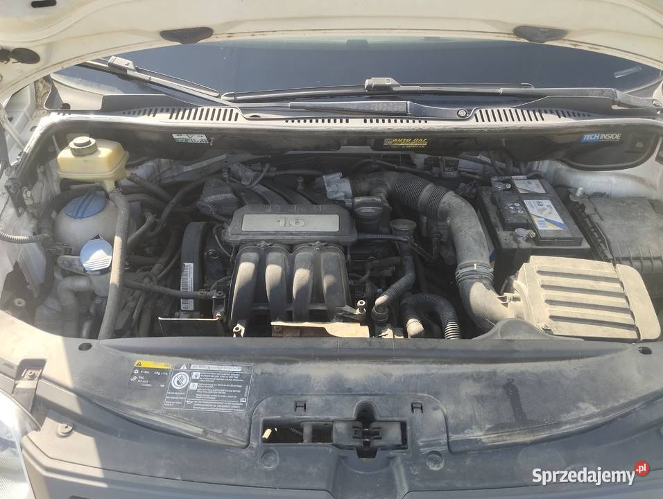 Wg candy 16 gaz Ściborzyce