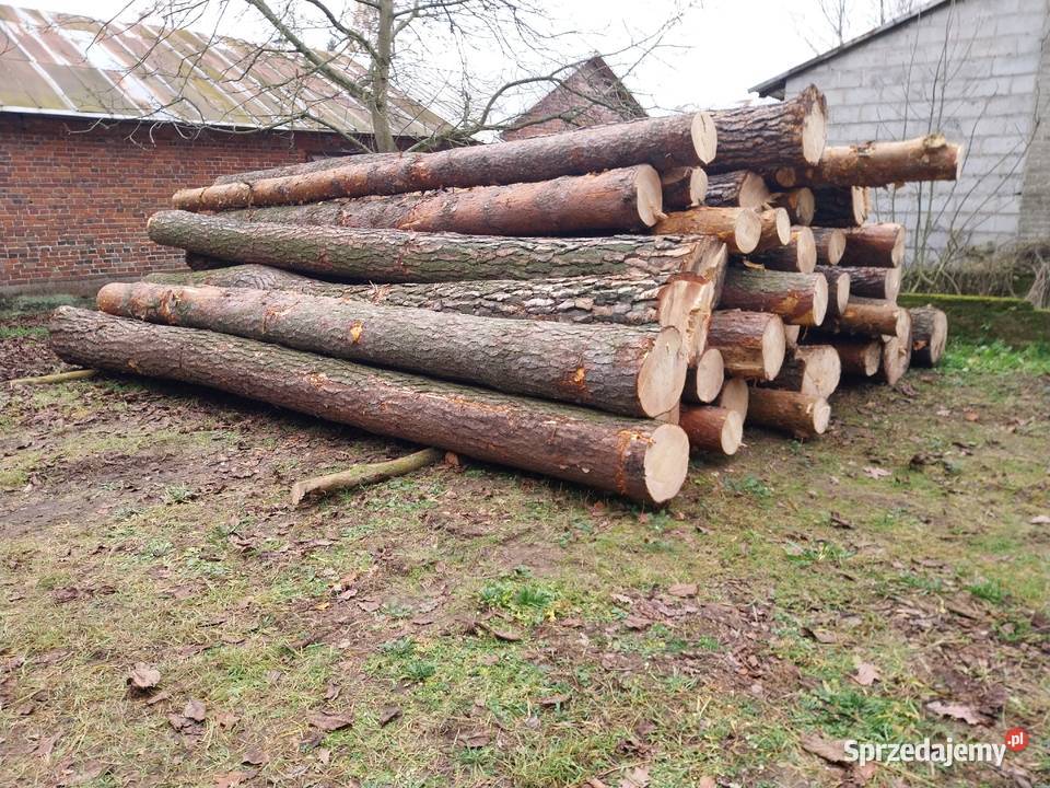 drewno tartaczne Węgrów