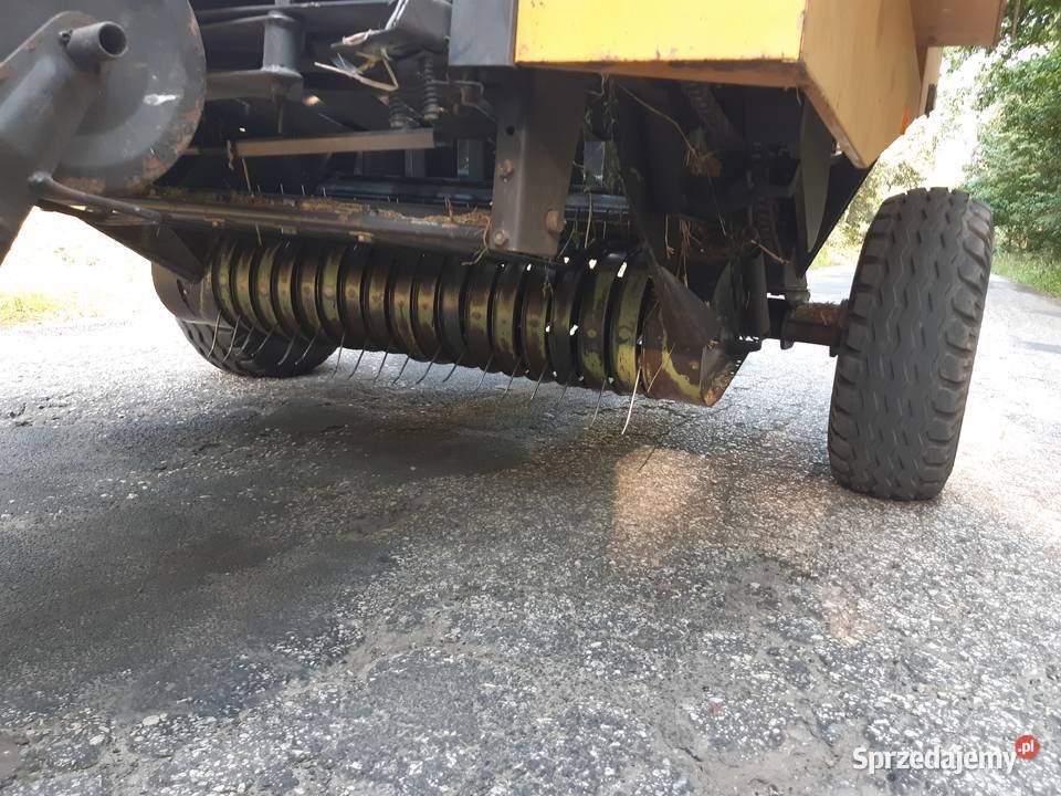 Prasa rivierre casalis