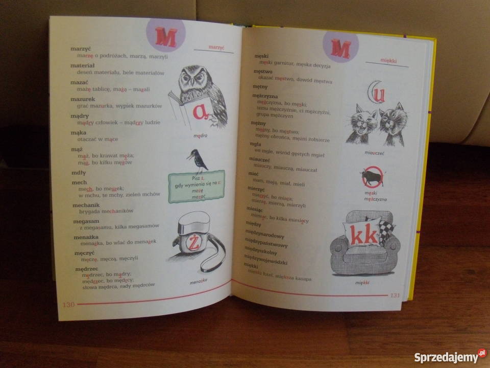 Nowy Iustrowany Słownik Ortograficzny klas 16 Warszawa