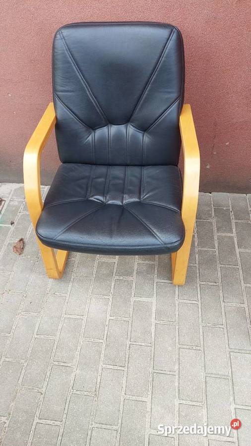 Fotel z podłokietnikami Profim wielkopolskie Poznań