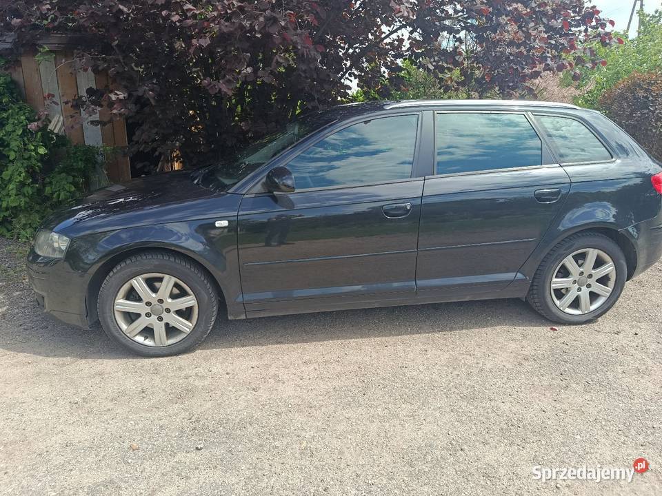 Audi A3 8P Andrzejewo