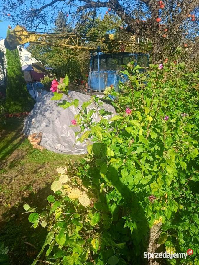 Sprzedam Dźwig niebieski podkarpackie Strzyżów