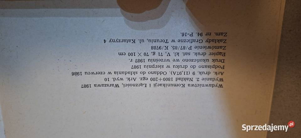 Projektowanie nawierzchni Antykwariat Łęczyca