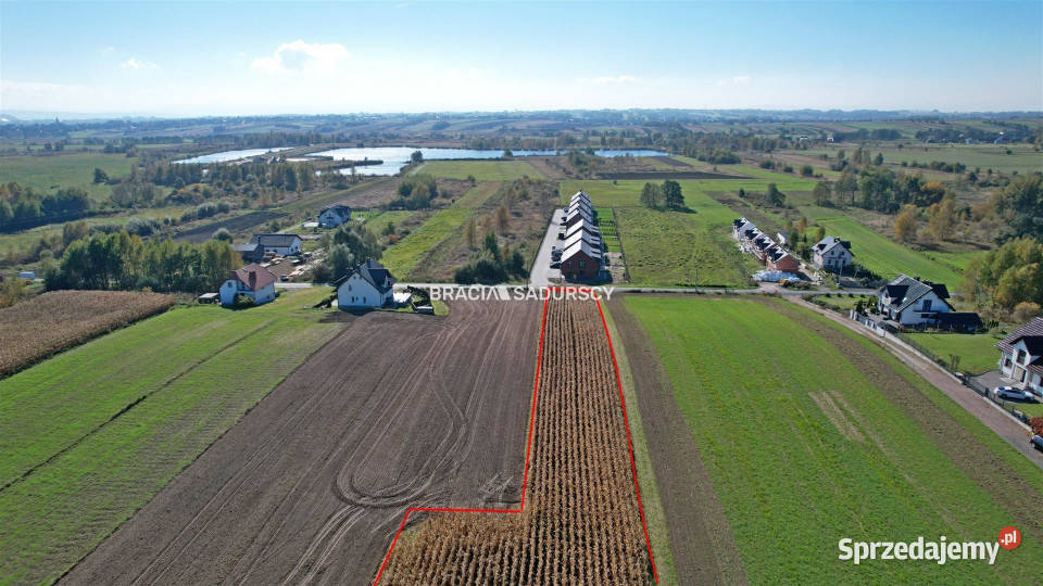 Działka 6059m2 Cholerzyn