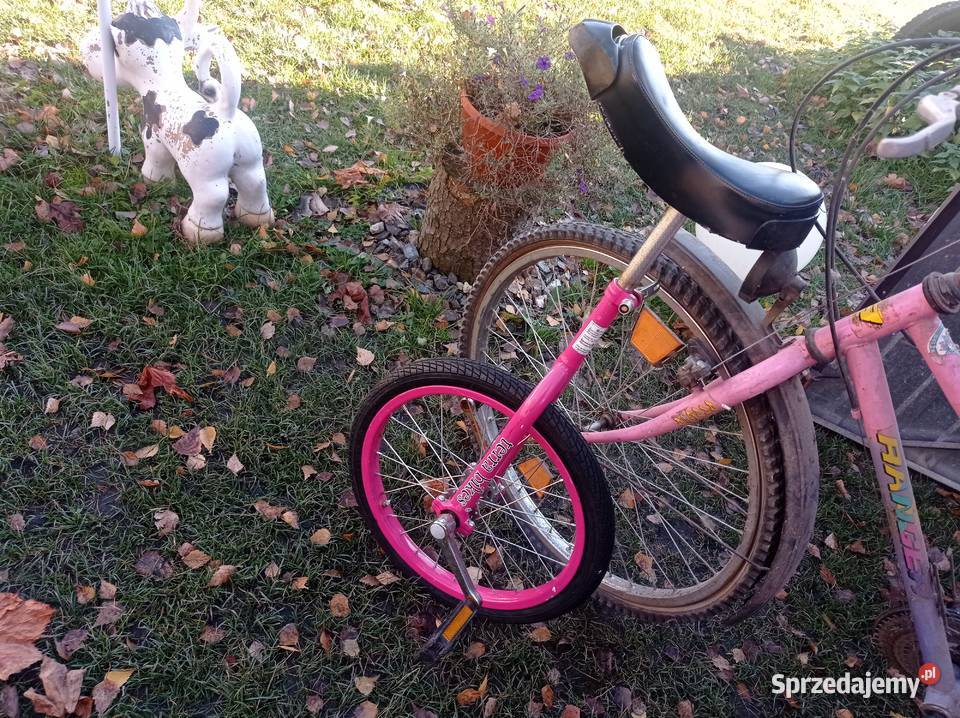 Pakiet Rowerów z Niemiec Góral Damka Męski Dzierżoniów