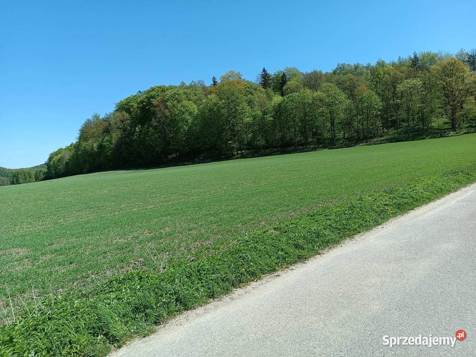 Działka w sąsiedztwie lasu Lubawa