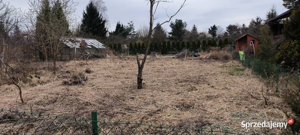 Działka ROD Stoki 496m2 siedliskowa sprzedam