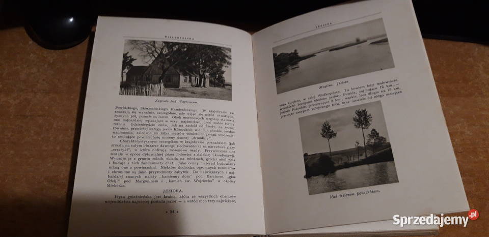 C U D A P O L S K I PIĘKNO PRZYRODY POMNIKI Iwno