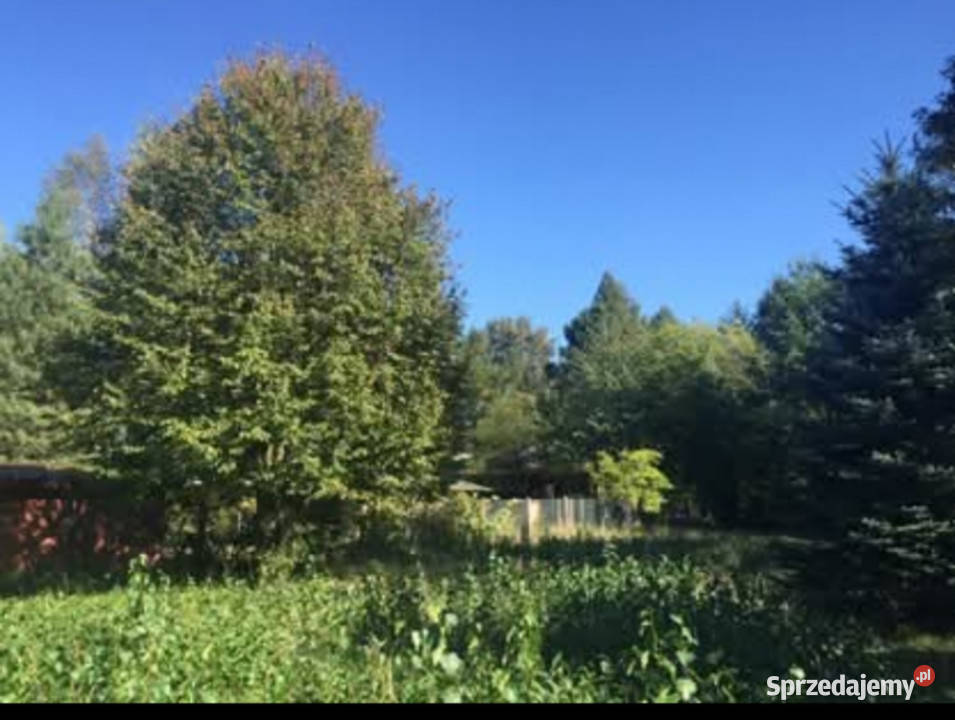 Kuligów piękny teren pod dom