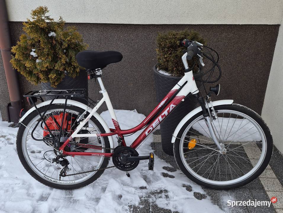 Rower z silnikiem Busko-Zdrój