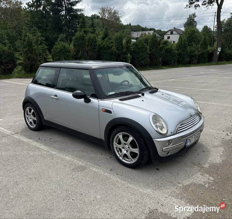 Mini cooper 16 benzyna 2002r podkarpackie Pilzno