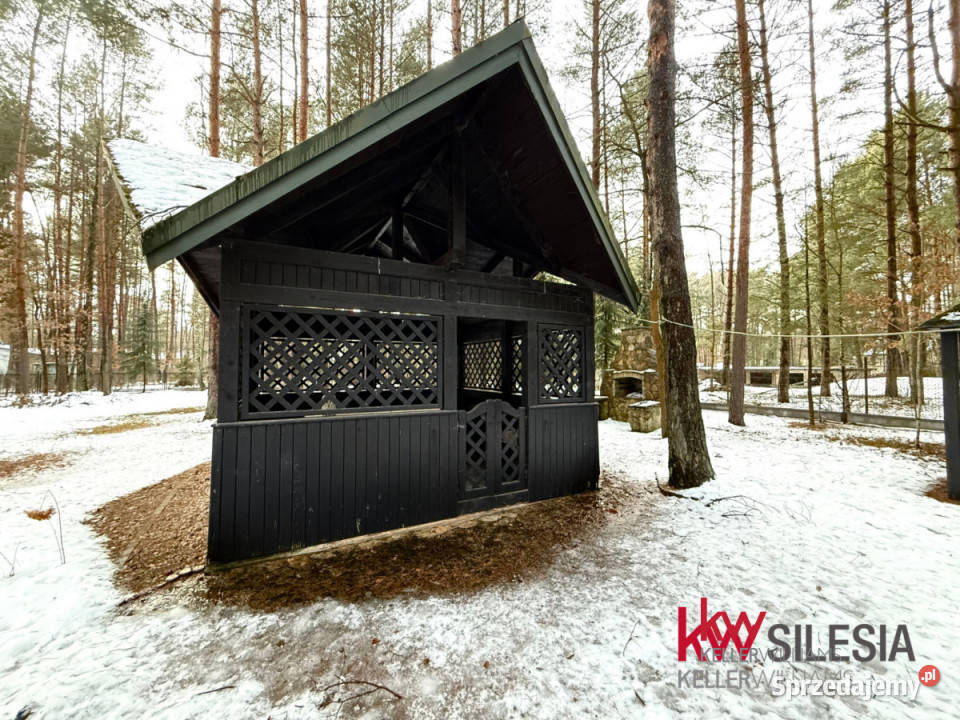 Grunt Masłońskie 3866m2