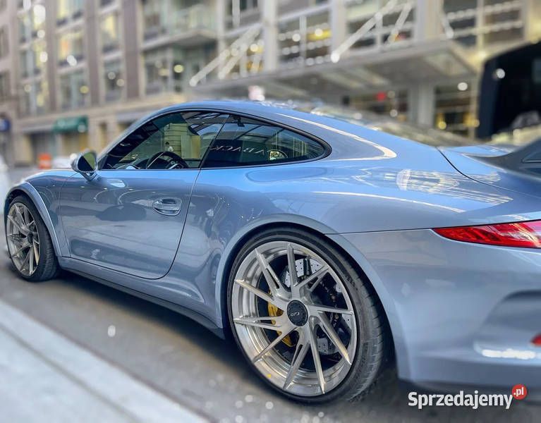Wilson Audio Alexx Loudspeakers Porsche Ice Blue Małastów