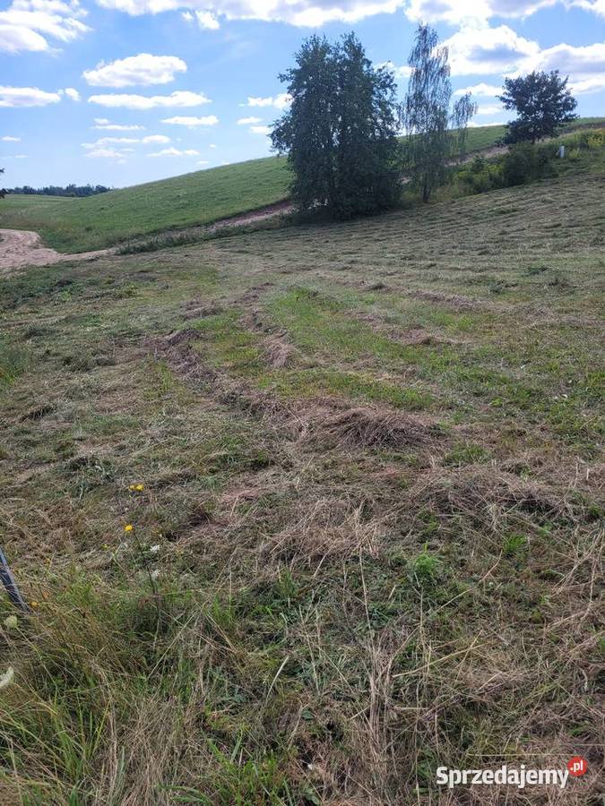 Działka rolna z warunkami zabudowy warmińsko-mazurskie Lubiewo sprzedam