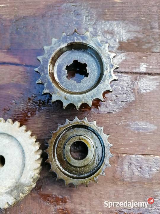 Zębatka zdawcza jawa 175 250 20z Kock