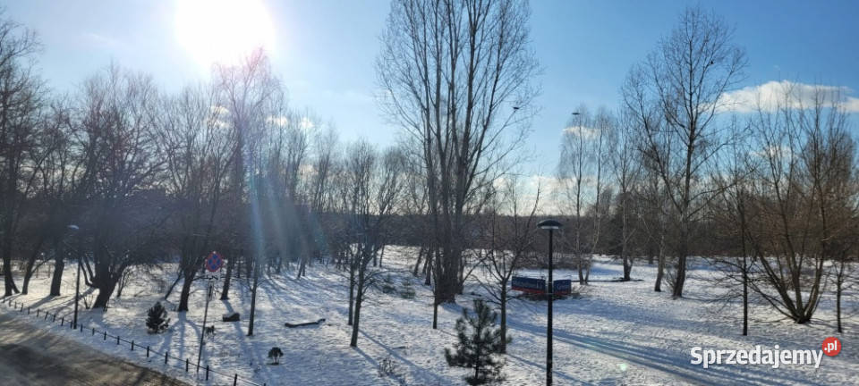 Mieszkanie 45 m2 plus schowek 15 m2 na wynajem Wynajem mazowieckie Warszawa sprzedam