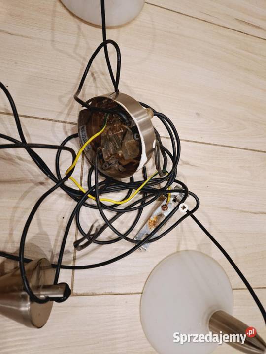 Linowe oświetlenie sufitowe Braniewo