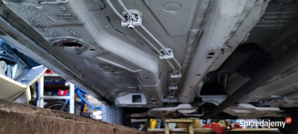 Fiat Punto Evo LPG GAZ krajowy bezwypadkowy 5 manualna Dębno