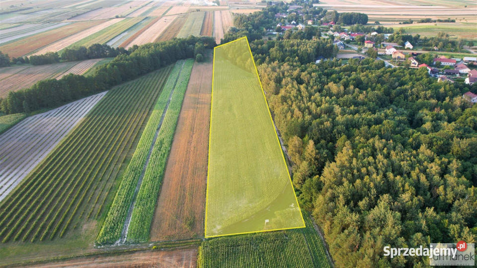 Działka Rakówka 22400m2
