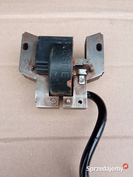 Cewka Briggs straton 500 series podkarpackie