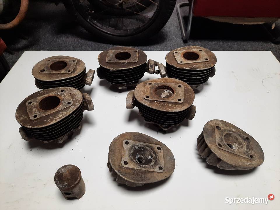 Komar zak Ryś cylinder