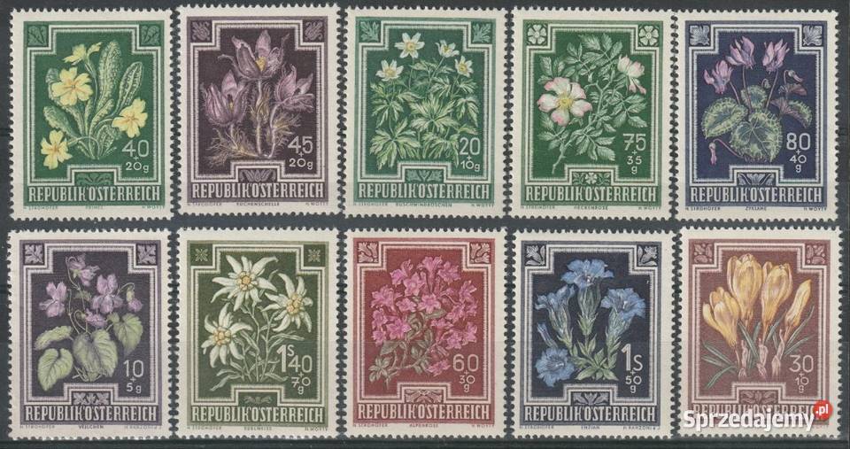 AUSTRIA KWIATY CZYSTE Łódź